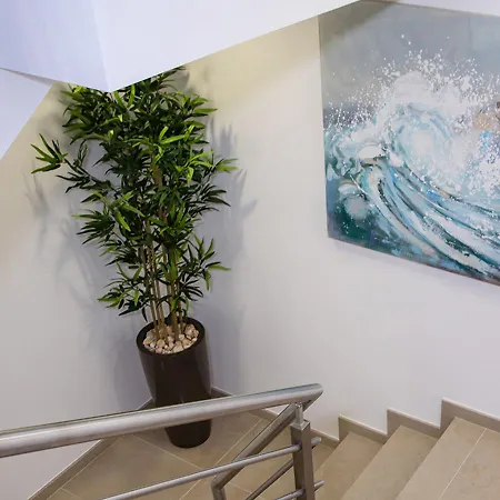 Real Holidays * نازاريه